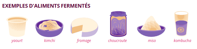 Aliments fermentés _ Edition UPSaclay 26 _ FR