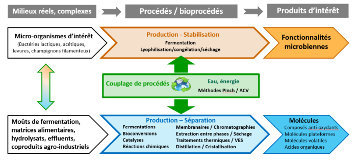 Illustration présensation Probiossep.png