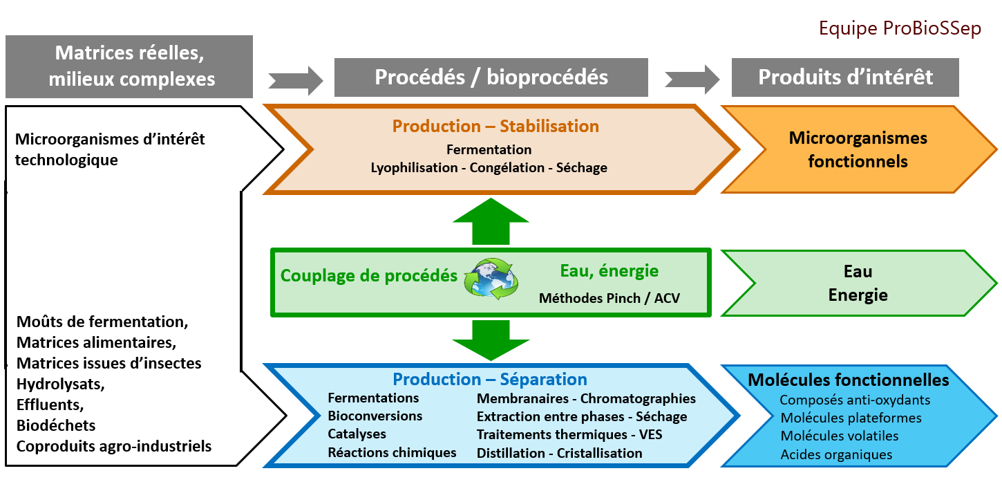 Illustration présensation Probiossep.png
